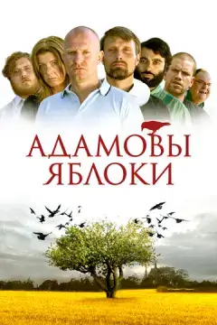  Адамовы яблоки 